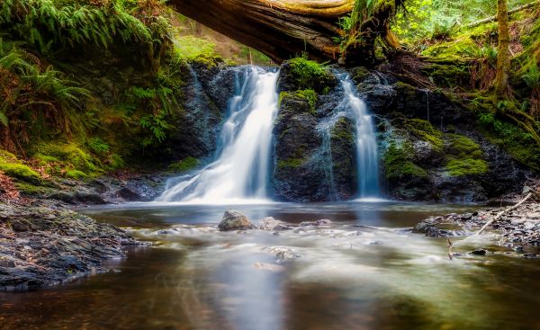 paysage,eau,la nature,forêt,cascade,ruisseau