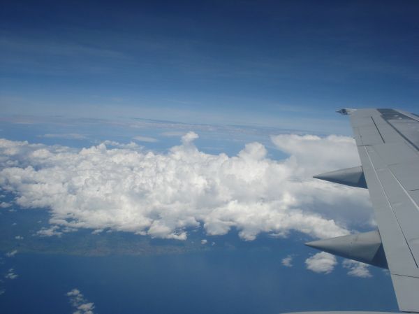 ala, nube, cielo, aire, horizonte, atmósfera