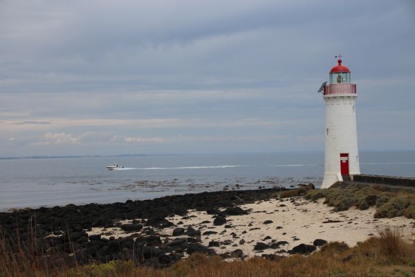 mare, costa, oceano, faro, spiaggia, puntellare