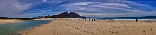 ビーチ,風景,海岸,写真,砂,砂丘