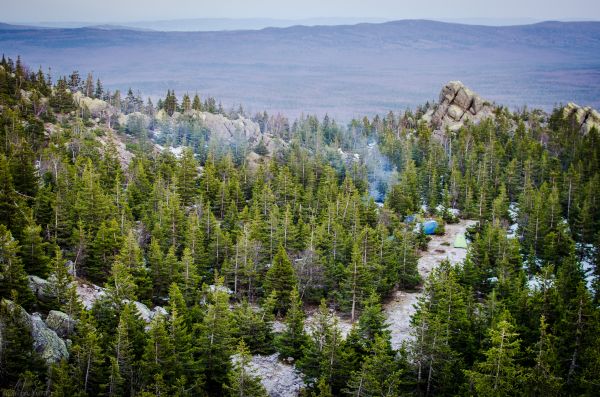 пейзаж,камень,пустыня,дерево,лес,гулять пешком