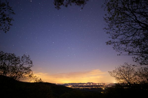 pemandangan,pohon,alam,langit,cahaya,matahari terbit