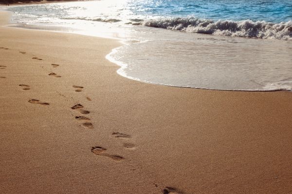 beach,landscape,sea,coast,water,nature