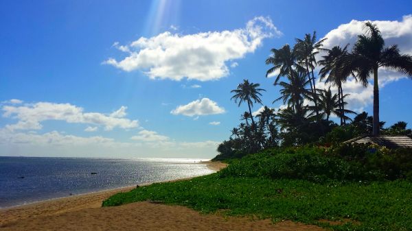 de praia,mar,costa,agua,natureza,areia