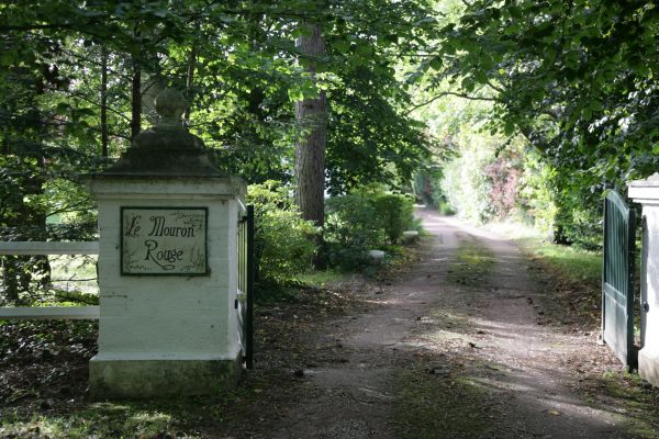 architecture,maison,bâtiment,France,vert,parc