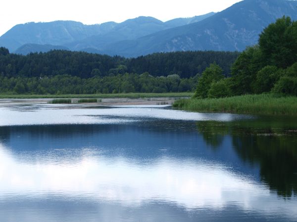 landschap, boom, water, natuur, gras, kreek