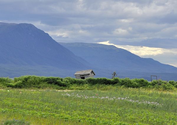 landskap, natur, gress, utendørs, hav, kyst