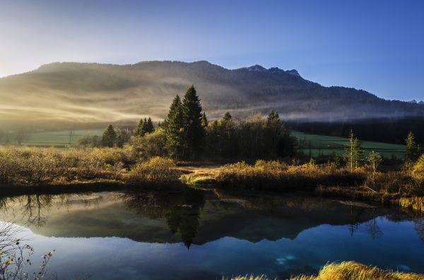 landscape,nature,tree,water,forest,outdoor