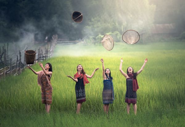 屋外,人,女の子,女性,光,田舎