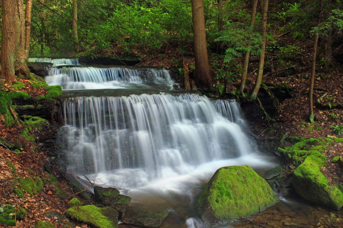 eau, forêt, cascade, ruisseau, randonnée, mousse, courant, printemps, jungle, l'automne, plan d'eau, des arbres, des roches, Creativecommons, forêt tropicale, chutes, Clintoncounty, Pennsylvaniawilds, lumière faible, ravin, Cascades, Pennsylvanie, Sproulstateforest, Centrecounty, Chuckkeipertrail, Yostrun, Yostrunloop, Yostruntrailloop, rhododendron, Yostrunfalls, Chute d'eau, des bois, habitat, caractéristique de l'eau, Cours d'eau, parc d'état