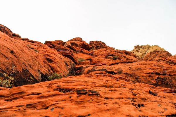 landscape, nature, rock, wilderness, mountain, tree