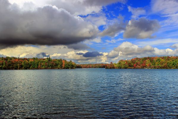 landschap,zee,kust,boom,water,natuur