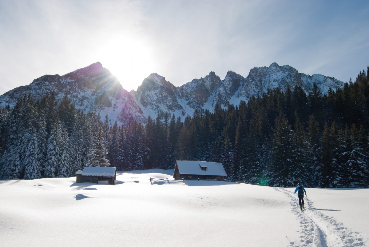 landskab, Skov, person, bjerg, sne, vinter, solskin, bjergkæde, vejr, alpine, backcountry, stå på ski, sæson, opstigning, vinter sport, solrig, bjerge, Alperne, kahytter, piste, ski tour, bjergrige landskabsformer