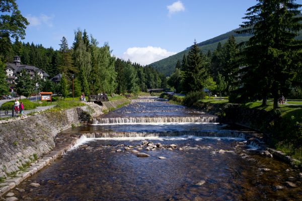 peisaj, natură, pădure, în aer liber, apă, pustie