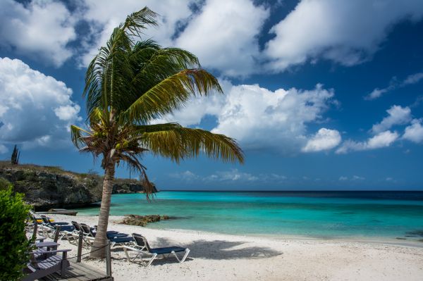 Strand, Landschaft, Meer, Küste, Baum, Wasser