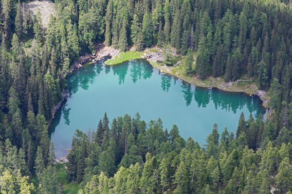 landscape, tree, water, nature, forest, wilderness