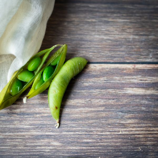 alimente,anticipate de mazăre,leguminoase,vegetal,Mazăre,plantă