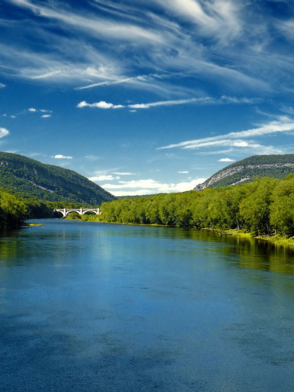 panorama, agua, natureza, montanha, mar, árvore