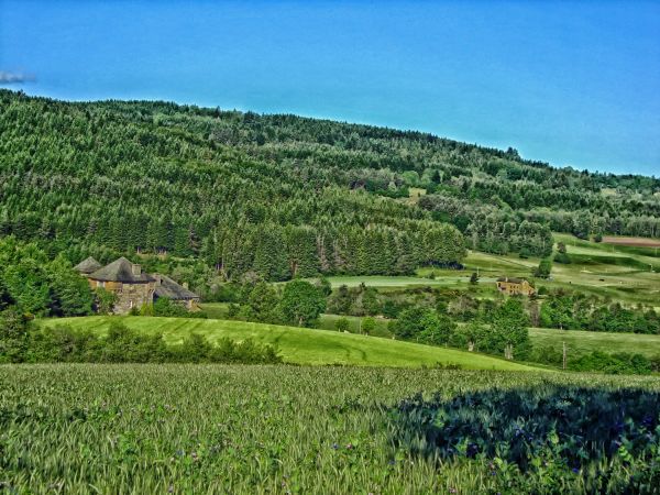 Landschaft, Natur, Wald, Gras, Feld, Bauernhof