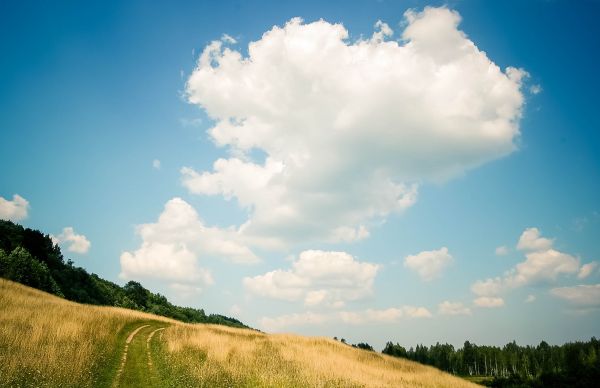 Landschaft, Baum, Natur, Gras, Horizont, Gehen