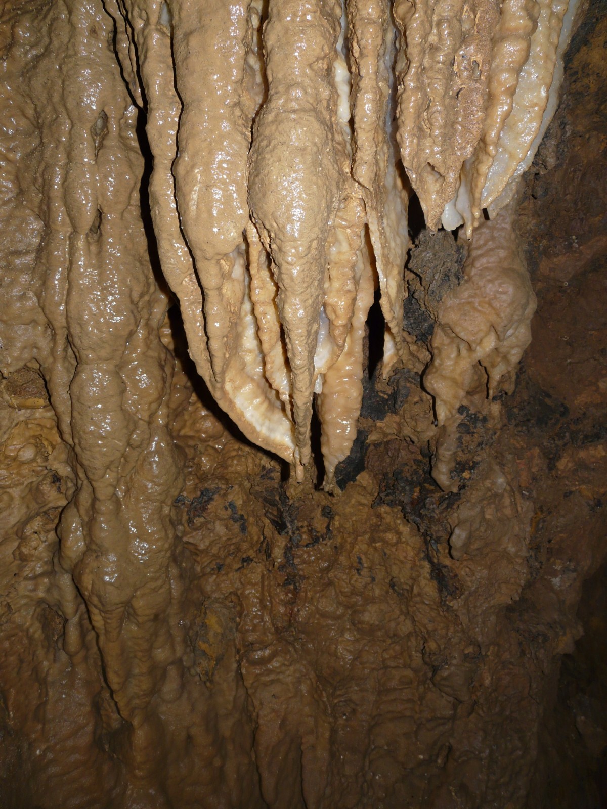 roccia, avventura, bagnato, parete, pietra, Esplorare, formazione, grotta, ripido, discesa, ricerca, geologia, in profondità, Esperienza, pericoloso, di riserva, speleologia, abseil, chiazza di petrolio, stalagmite, stalattite, ita, landform, cavità, strati di roccia, speleologia, caratteristica geografica, cave pit, tour della grotta, speleothem