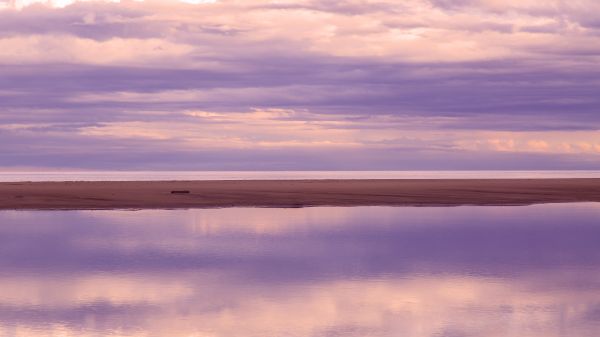 moře, pobřeží, voda, oceán, horizont, bažina