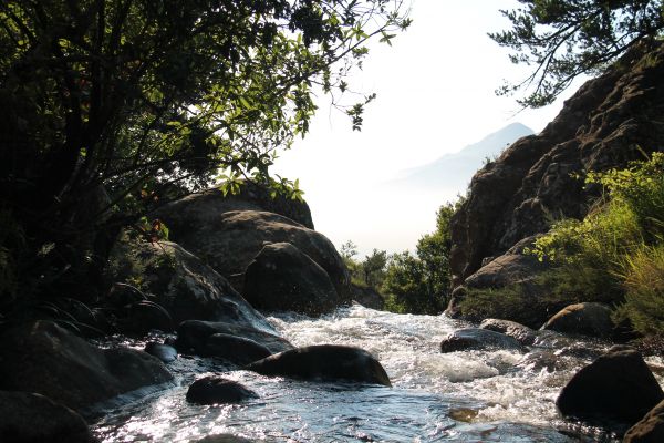 la nature,forêt,Roche,ruisseau,rivière,courant