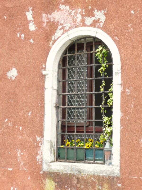 architecture, house, window, glass, old, wall