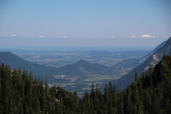 maisema, luonto, metsä, erämaa, kävely, puu