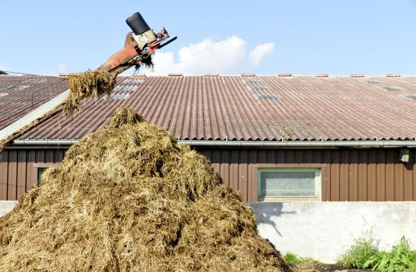 tak, ladugård, vägg, sommar, konstruktion, lugg