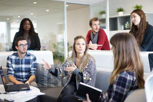 réunion,travail,la personne,gens,étudiant,conversation