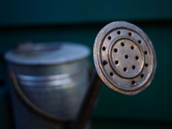 roată,metal,cerc,bokeh,instrument,gândac