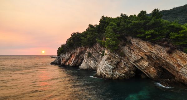 plage,mer,côte,arbre,Roche,océan