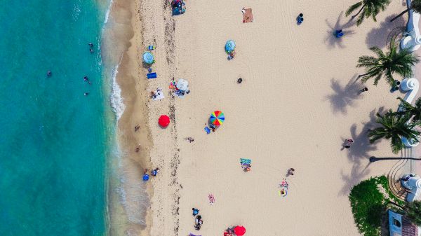 plage,mer,le sable,mur,vert,océan