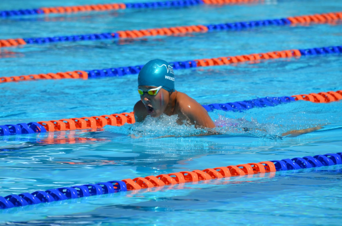 deporte, recreación, nadar, ejercicio, ocio, nadando, actividad, nadador, competencia, contento, Deportes, diabético, deporte acuático, recreación al aire libre, braza de pecho, Deportes individuales, Natación de estilo libre, Natación medley