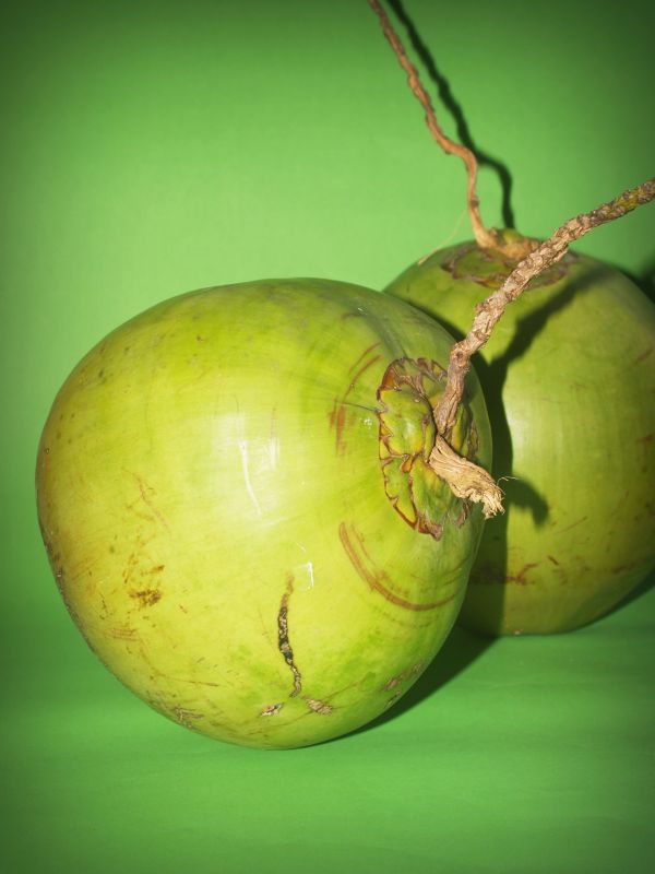 nature, branch, plant, white, fruit, sweet