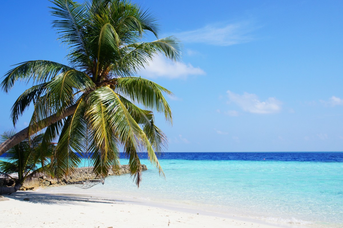 playa, mar, costa, árbol, agua, Oceano, cielo, apuntalar, vacaciones, viajar, palma, tropical, fiesta, laguna, bahía, isla, azul, Cuerpo de agua, recurso, caribe, zona tropical, capa, Maldivas, Planta leñosa, Son escalas, Familia de palmeras