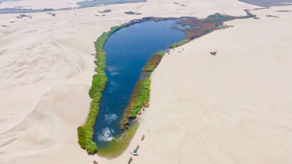 strand,zee,kust,zand,oceaan,woestijn