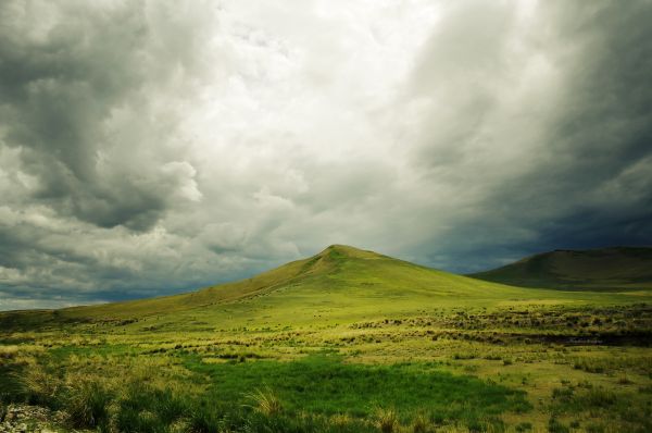 landskab, træ, natur, græs, horisont, ødemark