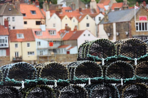 pile, rope, pot, equipment, fishing, fisherman