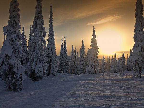 maisema,luonto,vuori,lumi,puu,kylmä