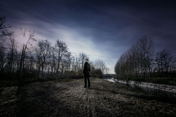 landscape, tree, nature, forest, grass, man