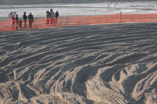 strand, sand, snö, spår, frankrike, asfalt