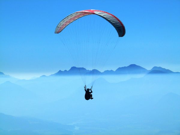 wing,dawn,extreme sport,parachute,paragliding,in the morning