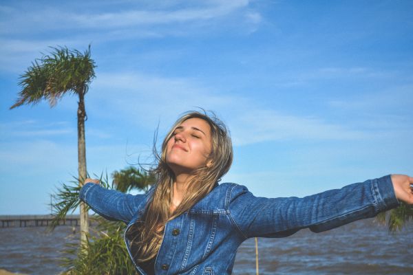 playa,mar,costa,árbol,agua,naturaleza