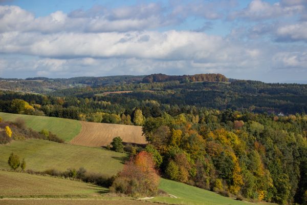 landskab,træ,natur,græs,bjerg,plante