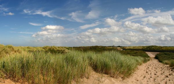 paysage, herbe, horizon, le marais, nuage, plage