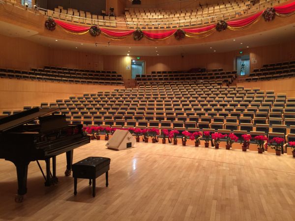 auditorium,pubblico,pianoforte,sala concerti,Teatro,palcoscenico