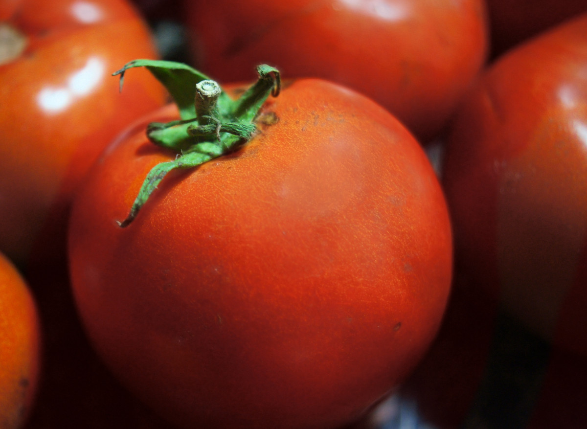 natură, plantă, fruct, copt, masă, alimente, salată, piper, roșu, recolta, gătire, legume şi fructe, vegetal, a decupa, culoare, macro, natural, proaspăt, bucătărie, agricultură, suculent, gurmand, sănătos, gustare, mânca, bucătărie, delicios, sănătate, prospeţime, roșie, suc, vitamină, mâncare, nutriție, cină, gustos, Vegetarian, vegetarian, brut, cura de slabire, curmal japonez, Diospyros, organic, macro fotografie, nutritiv, aperitiv, dieta, planta cu flori, dietă, teren de plante, genul de cartof și tomate, copaci de abanos și persimmons