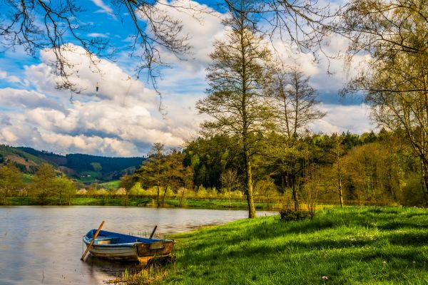 пляж,пейзаж,воды,природа,дерево,пустыня